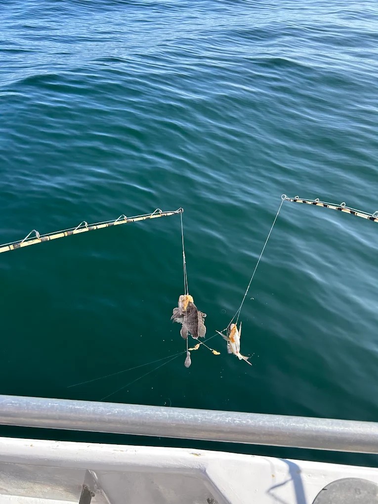 Kids catching fish on a family fishing trip aboard Super Hawk Fishing Charter in Point Lookout NY